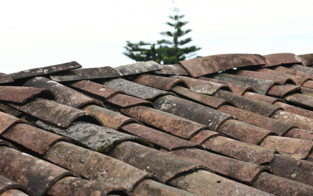 Do I Need a New Roof? 4 Signs It’s Time