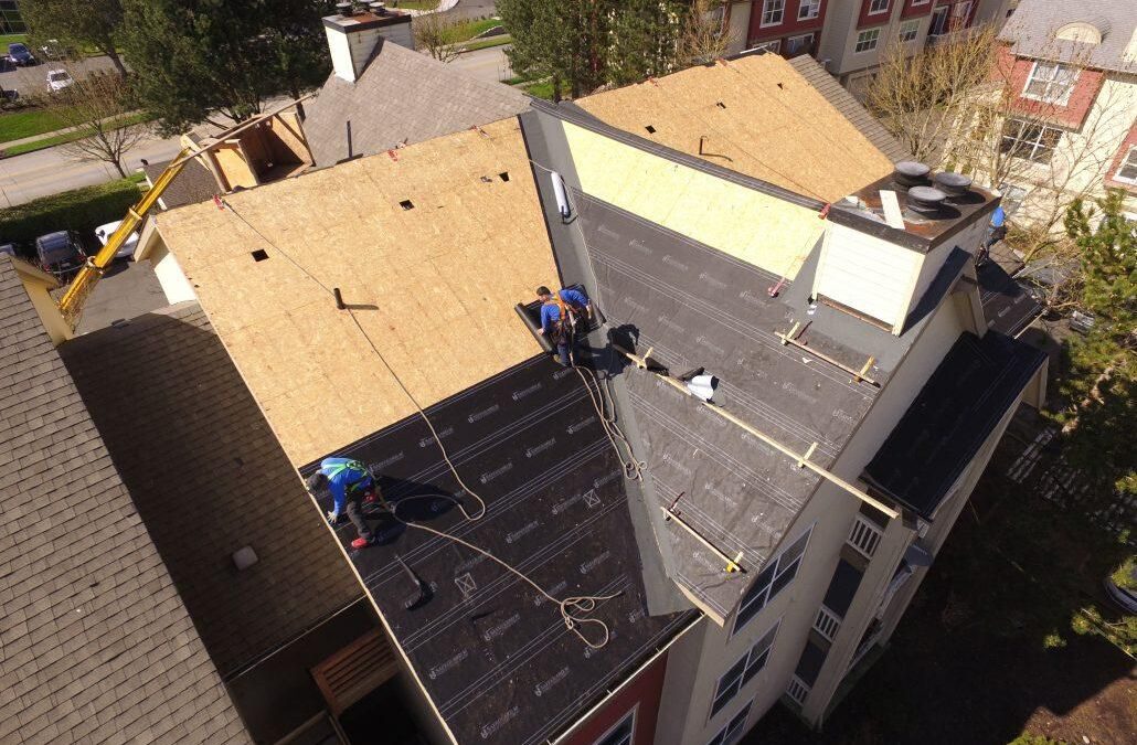 Roof Repair vs Replacement: When to Fix and When to Replace