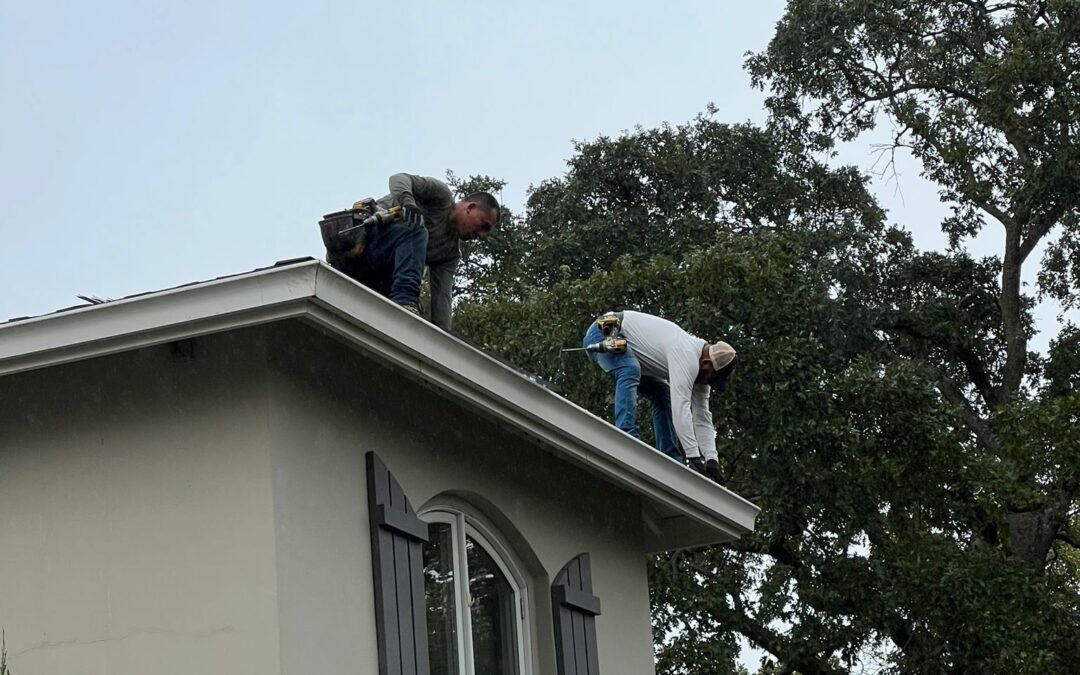 5 Steps to Take When You Have Tree Damage to the Roof