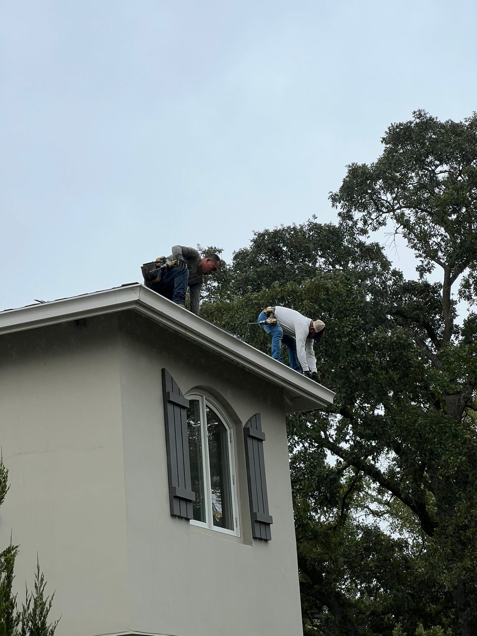 tree damage to the roof