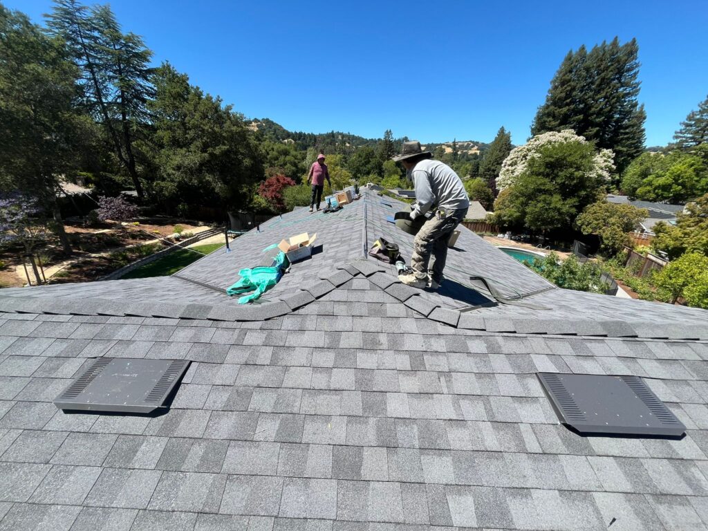 Victorian Home Roof Restoration