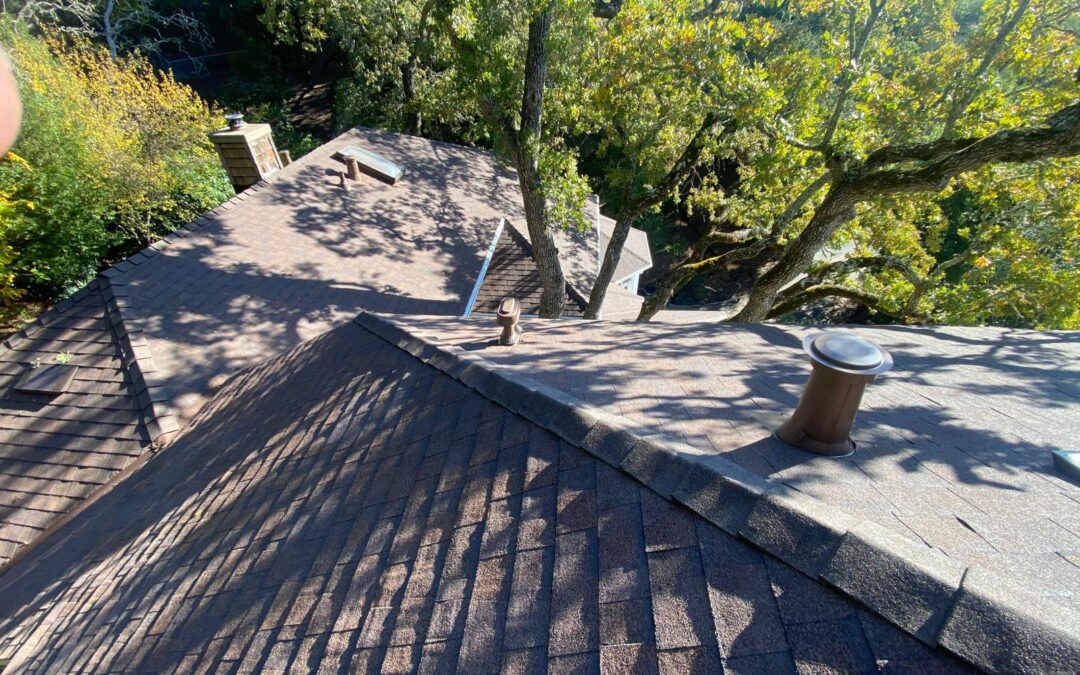 The Ultimate Guide to Roof Inspection Services for Homeowners